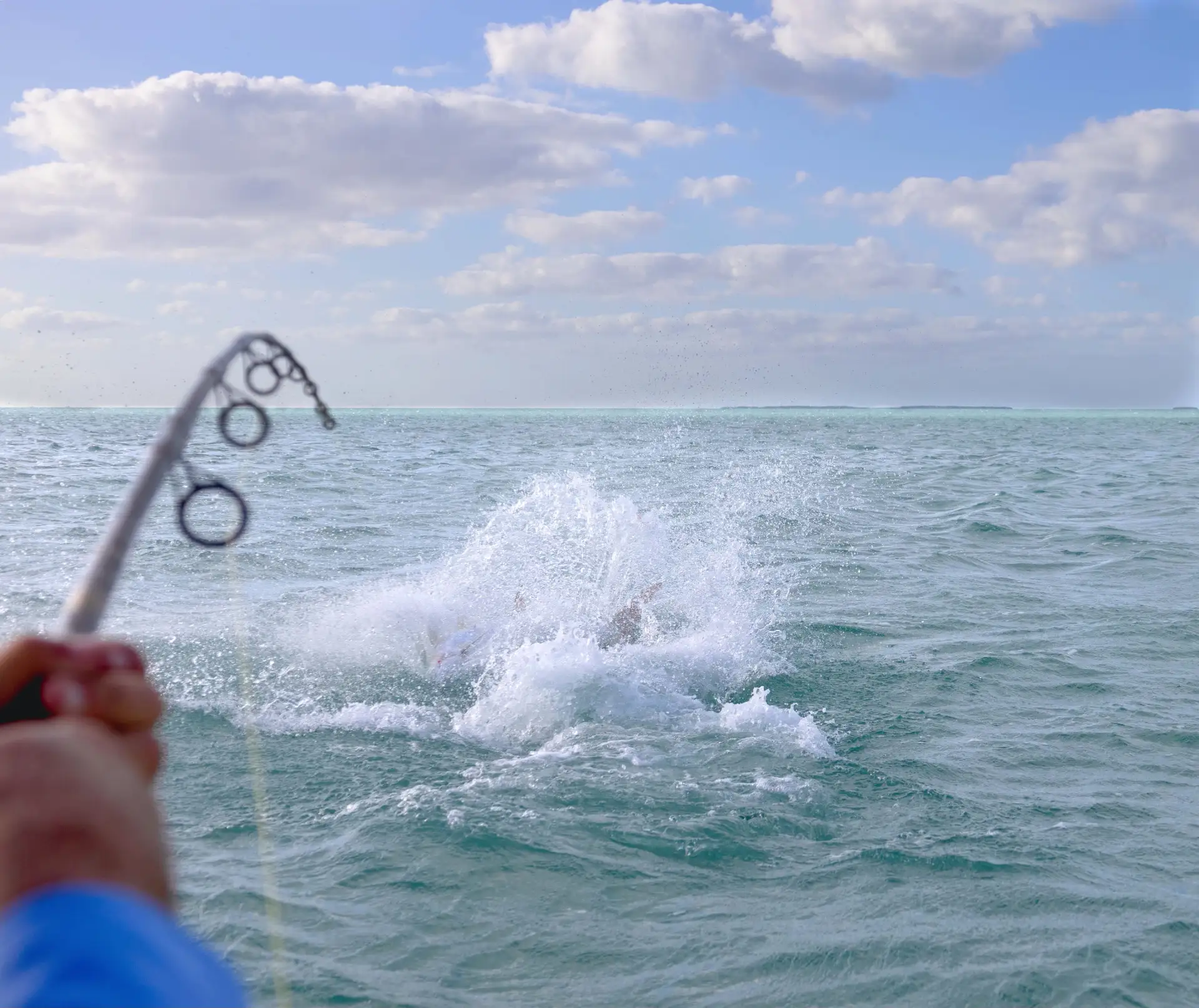 A man and his fishing rod