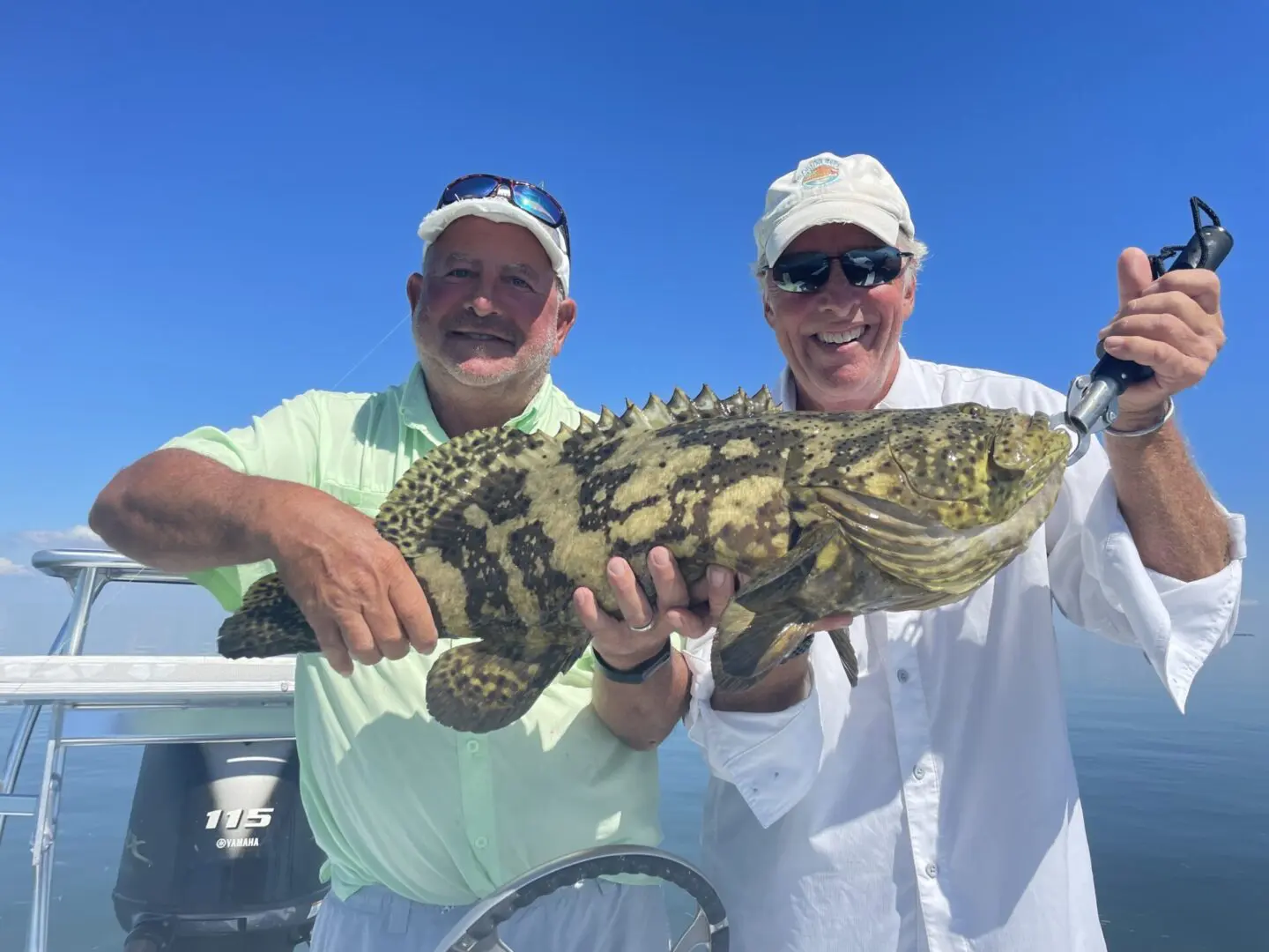 Goliath Grouper—Islamorada