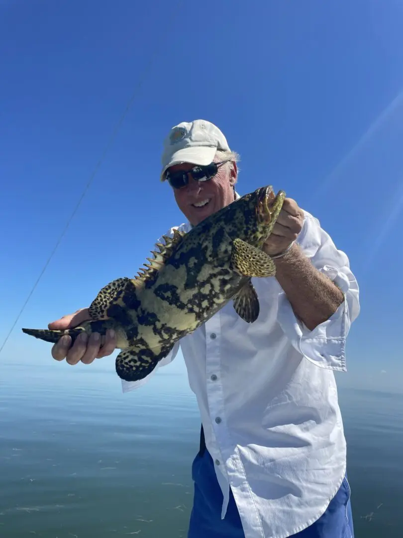 Goliath Grouper—Islamorada