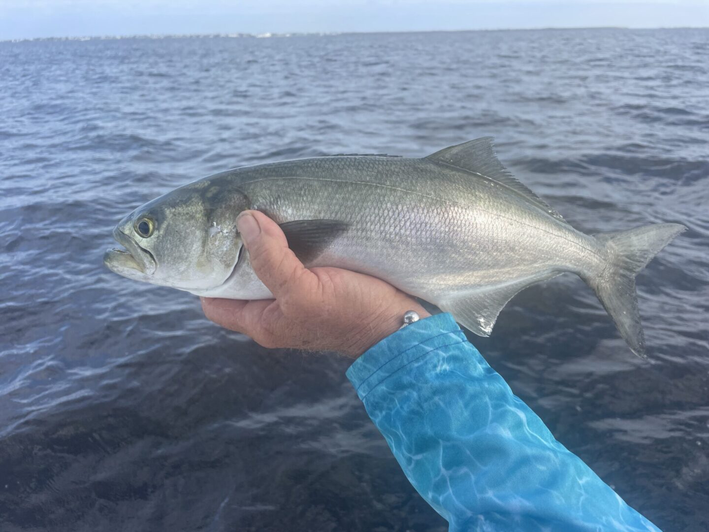 A person holding a fish in the water.