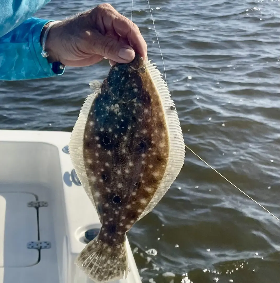 A person holding a flounder on a boat.