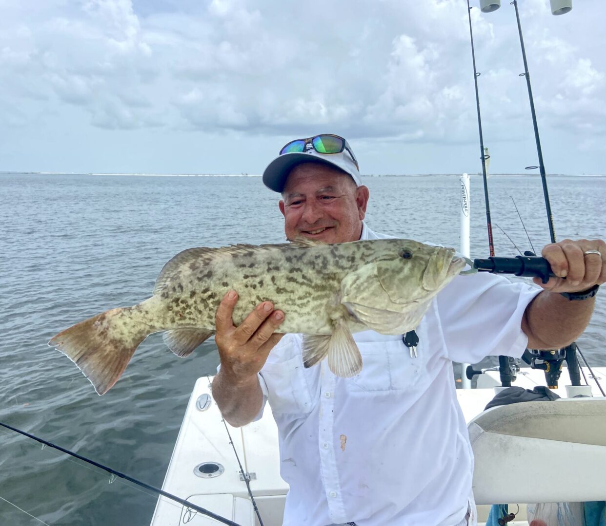 Gag Grouper—Sanibel